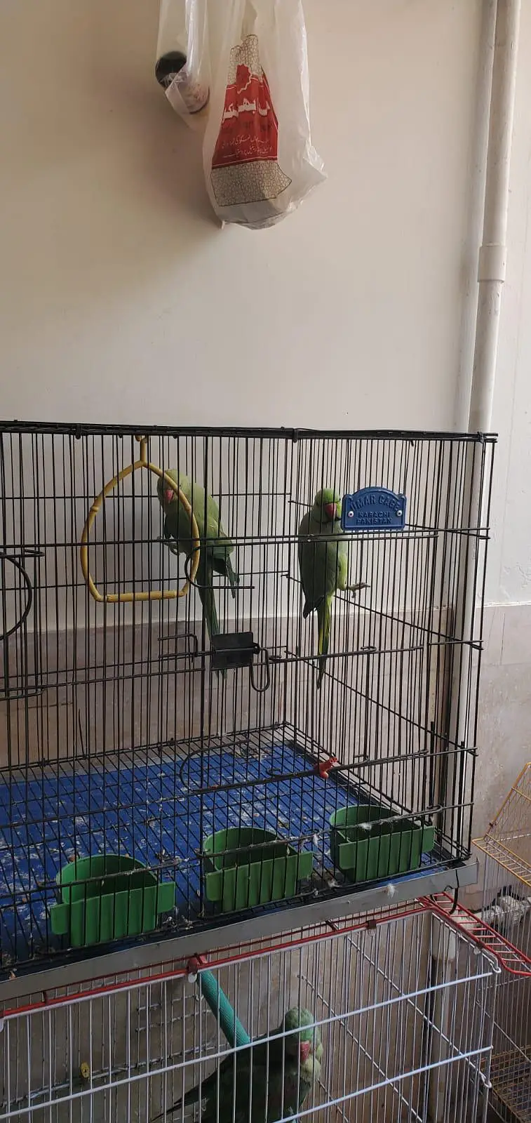 urgent sale serious buyer contact karyen — photo 5