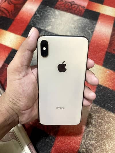 XS Max