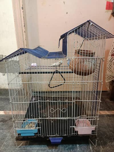budgies+finches+diamond dove