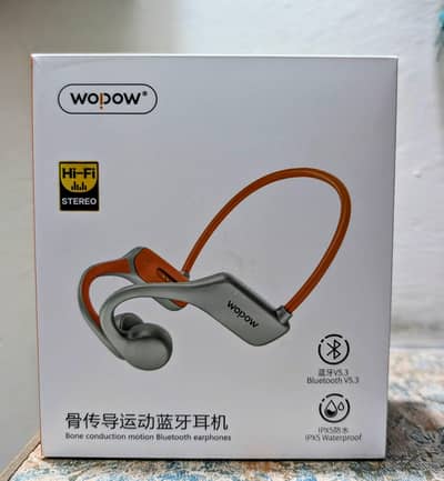 Imported Earphones (from china)