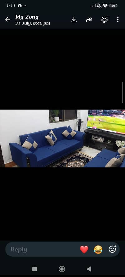 sofa come bed 6 seaters with blinds and centre carpet