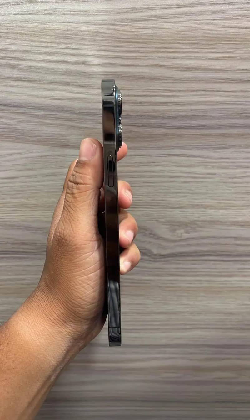 Apple iPhone 13 Pro Max 1
