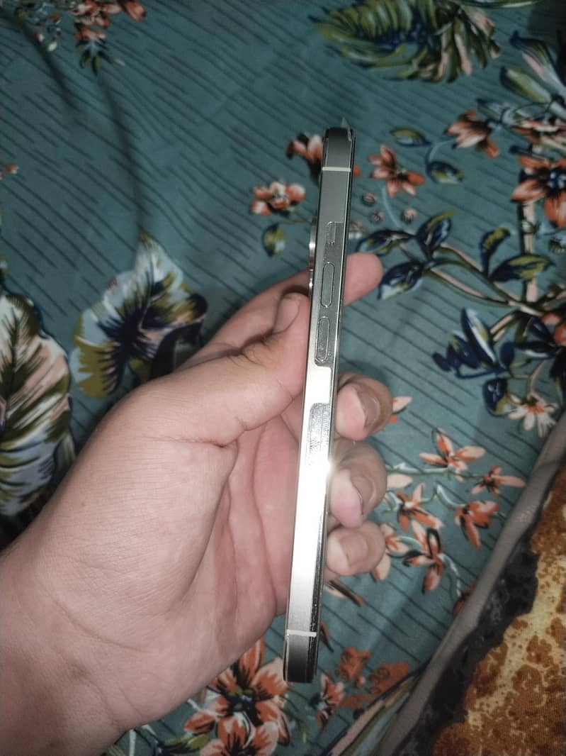 Apple iPhone 13 Pro 2