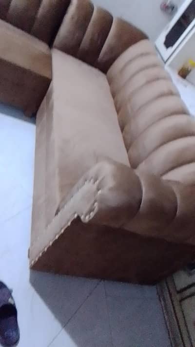 golden skin sofa only 32500