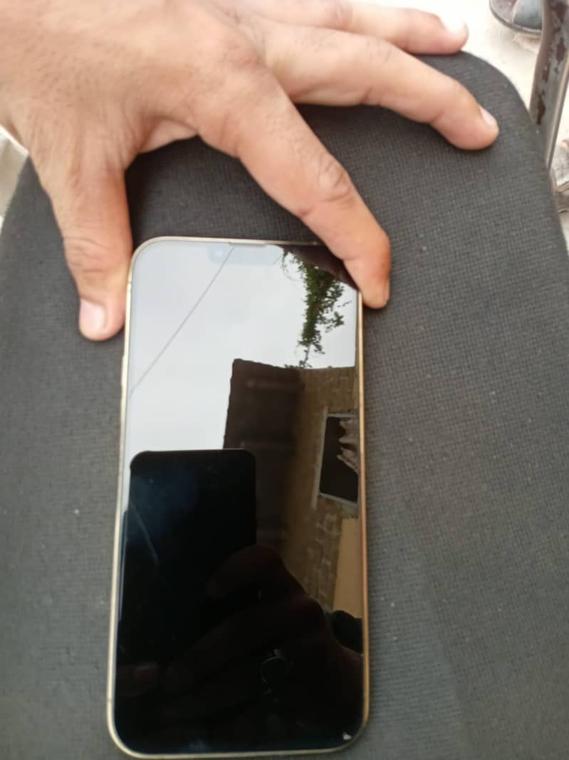 Apple iPhone 13 Pro Max 2
