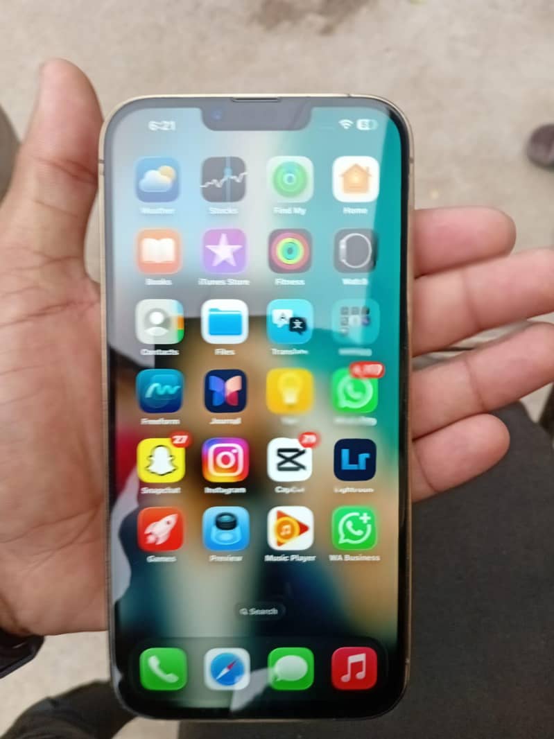Apple iPhone 13 Pro Max 1