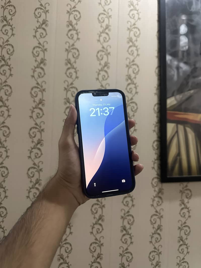 Iphone 13 pro max 0