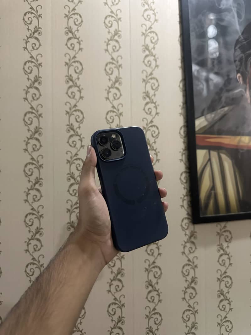 Iphone 13 pro max 1