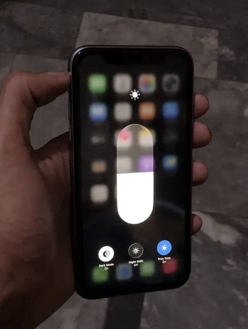 Apple iPhone 11 1