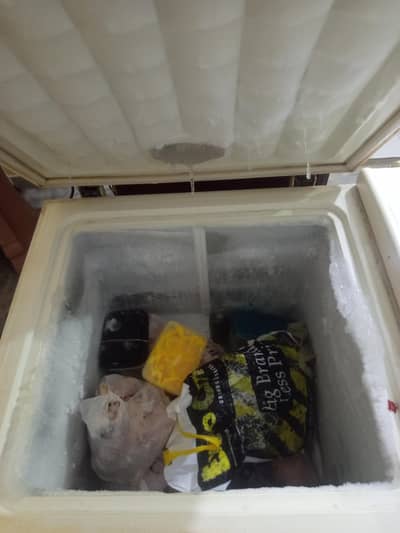Waves double door D freezer