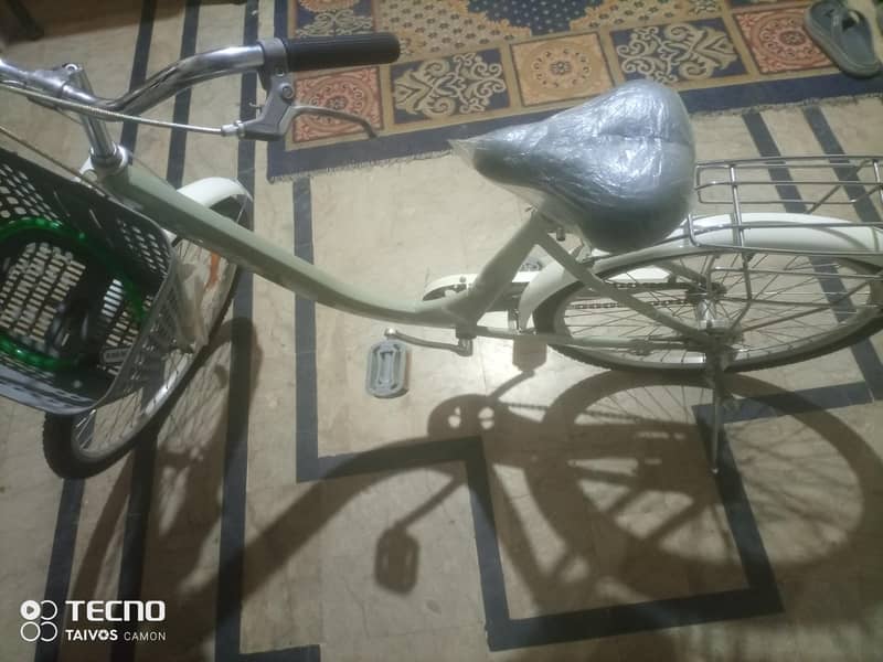 BDF blcycle 1