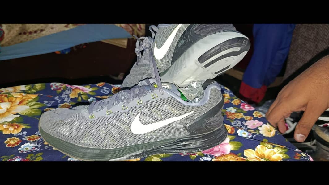 shose 4