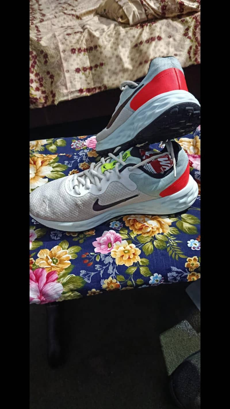 shose 6