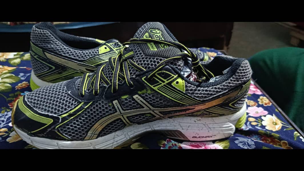 shose 8