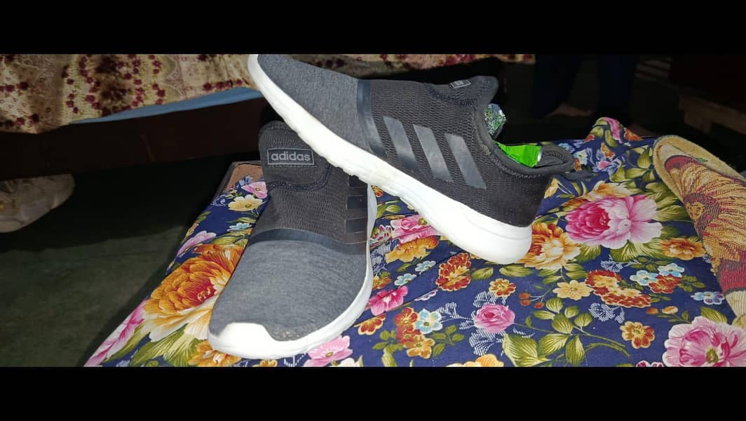 shose 9