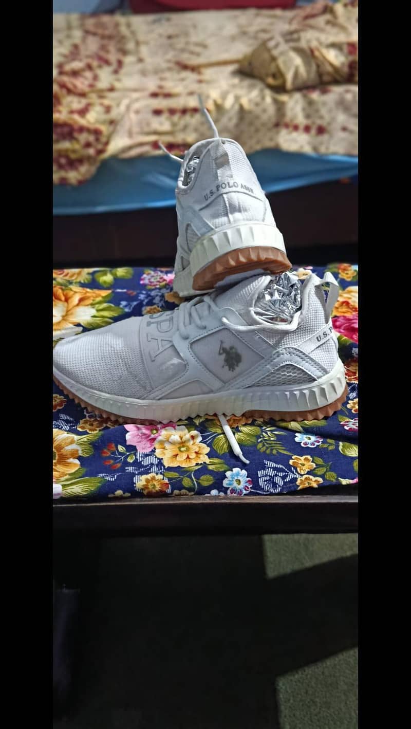 shose 17
