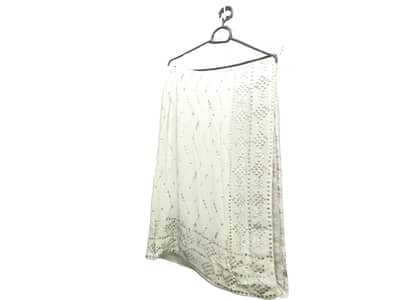 Indian Muskesh work on pure chiffone