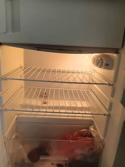 hair fridge