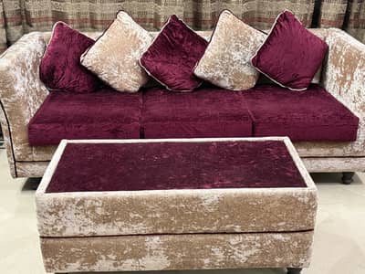 3 seater sofa with cushions and center table.