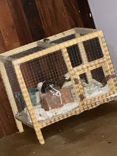 Cage for sale whatapp 03253704092