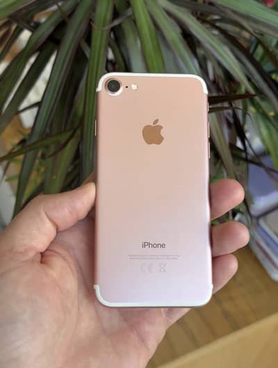 Apple iPhone 7