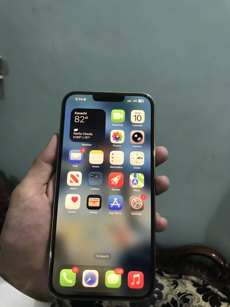 Apple iPhone 13 Pro Max 1
