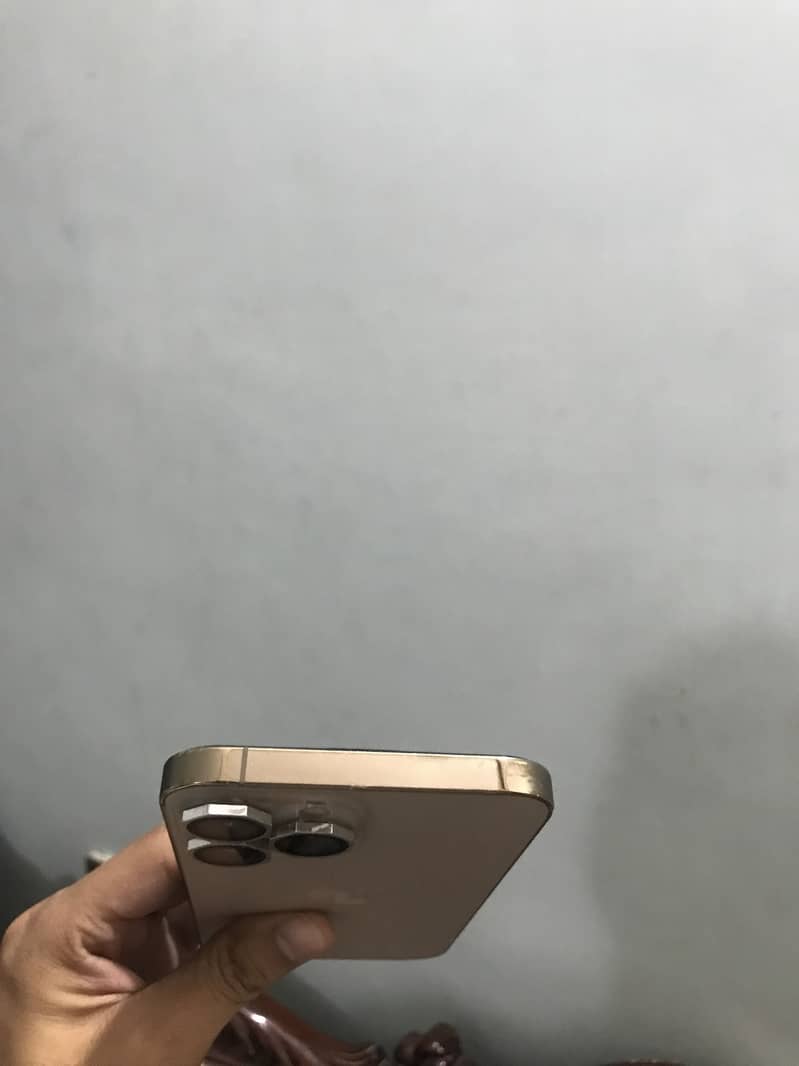 Apple iPhone 13 Pro Max 4