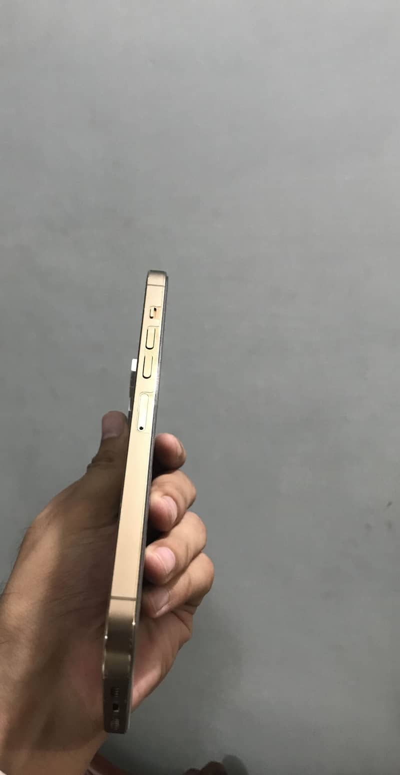 Apple iPhone 13 Pro Max 5
