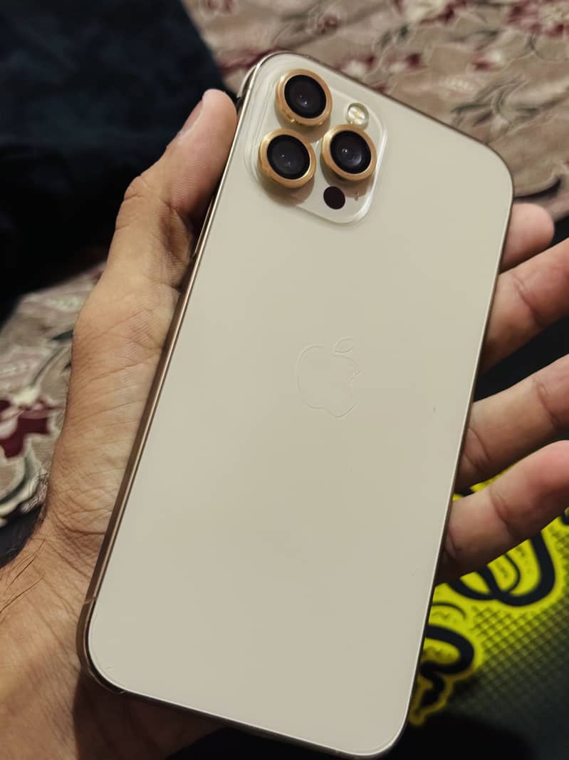 Apple iPhone 12 Pro Max 1