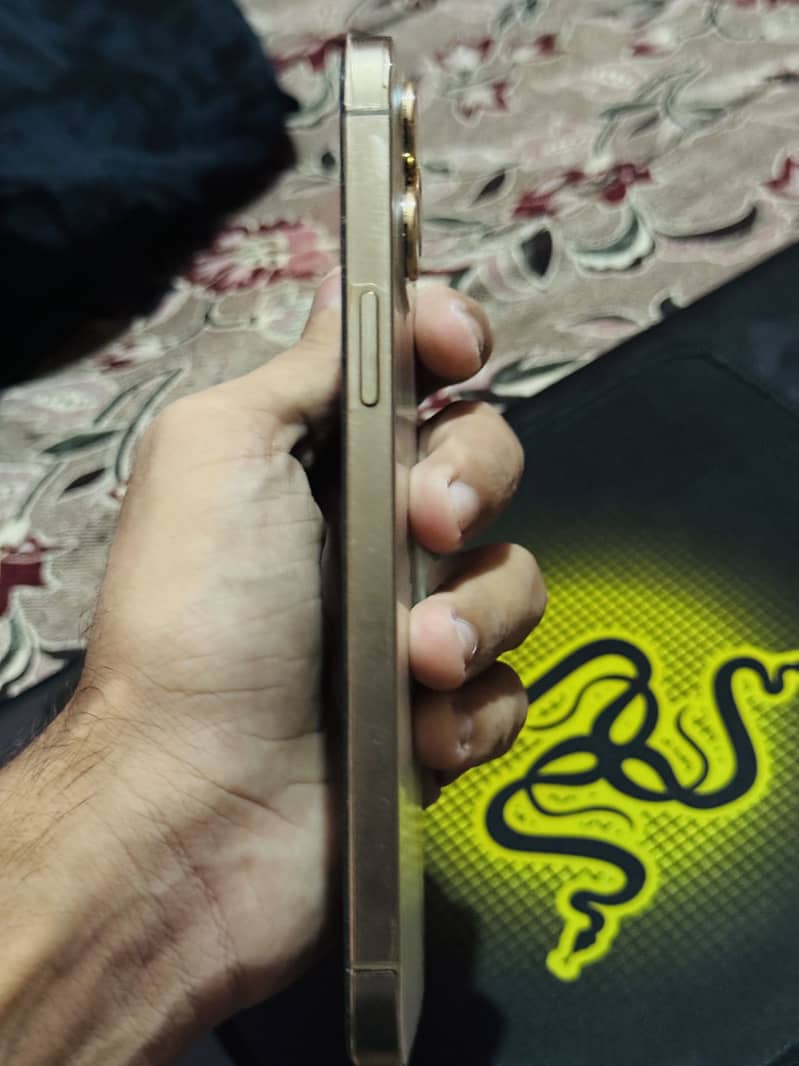 Apple iPhone 12 Pro Max 2