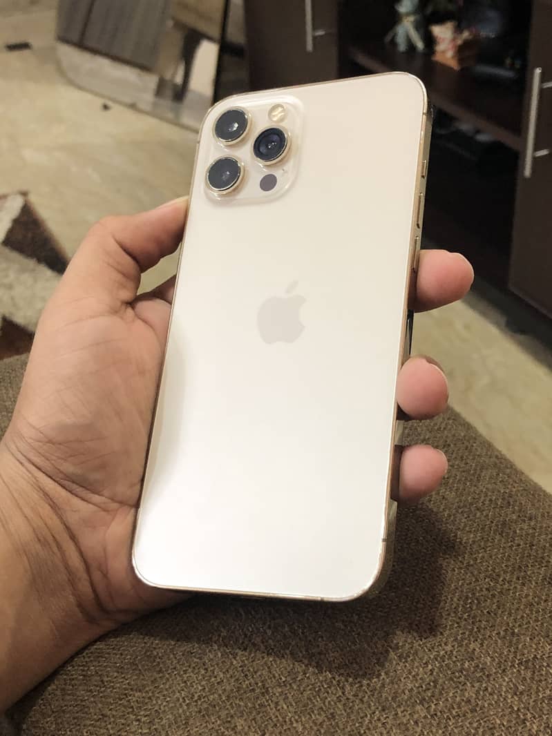 Apple iPhone 12 Pro Max 0