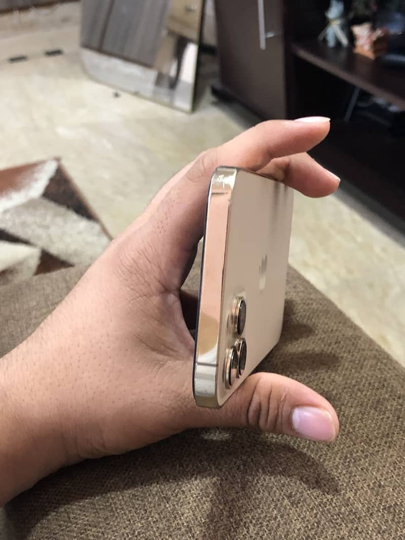 Apple iPhone 12 Pro Max 1