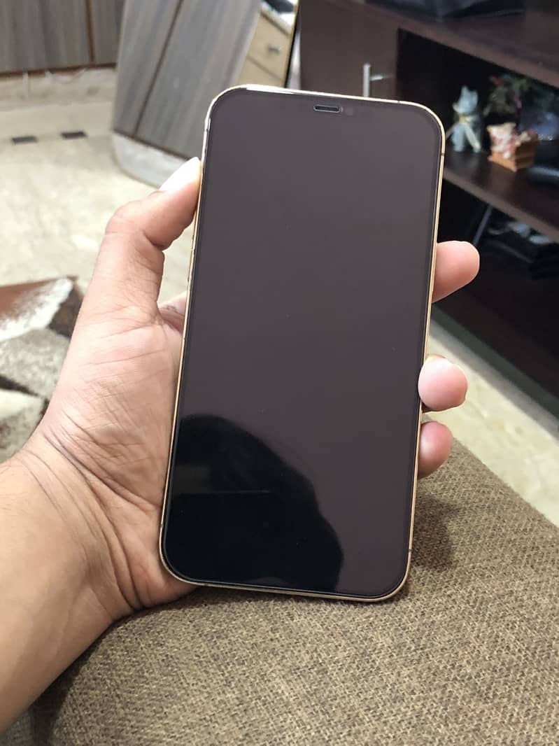 Apple iPhone 12 Pro Max 2