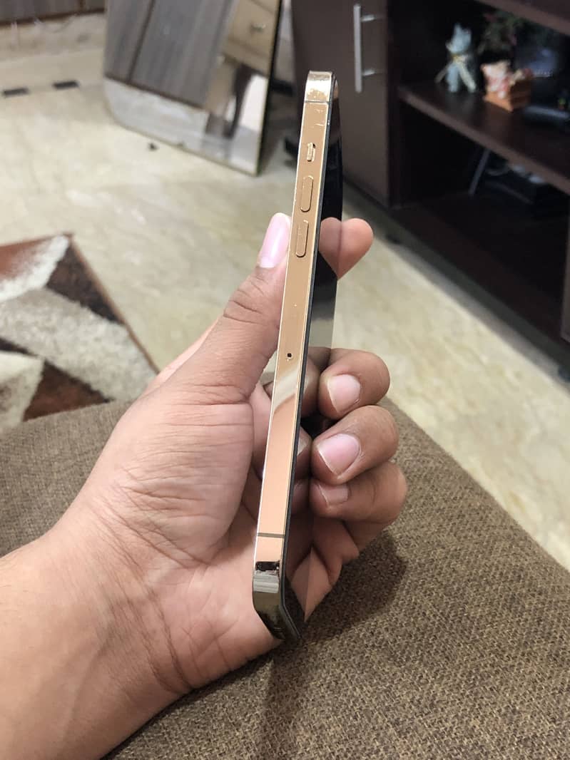 Apple iPhone 12 Pro Max 6