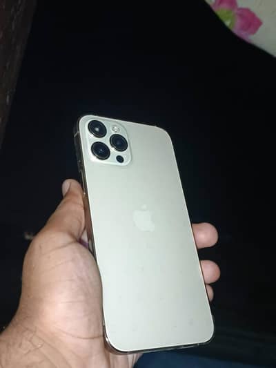 Apple iPhone 12 Pro Max