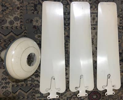 Ceiling Fan 56" inch Pak Fan Coper winding Used Fan Urgent Sale