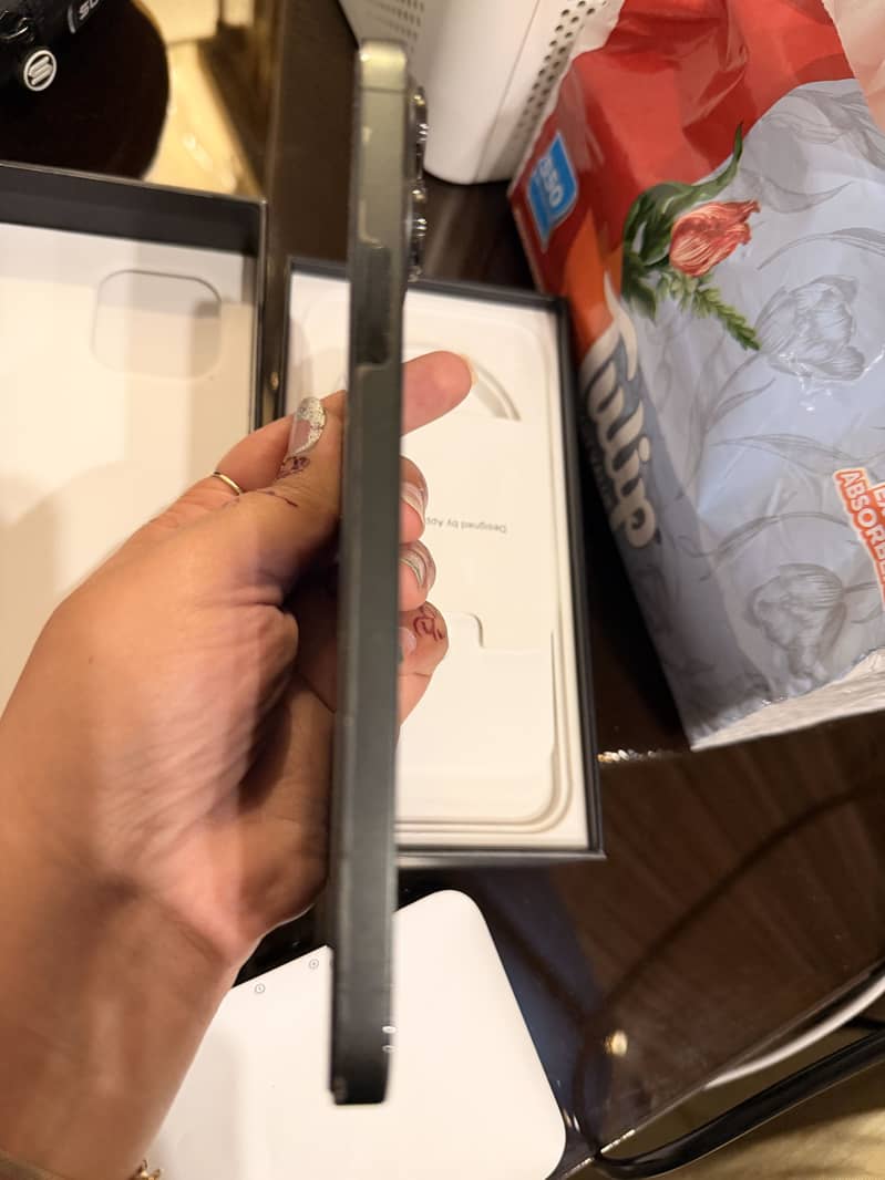 Apple iPhone 13 Pro Max 0