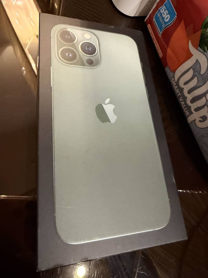 Apple iPhone 13 Pro Max 1