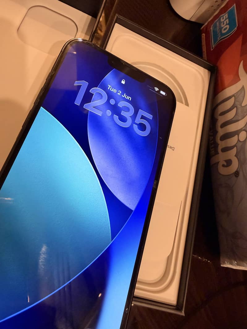 Apple iPhone 13 Pro Max 7