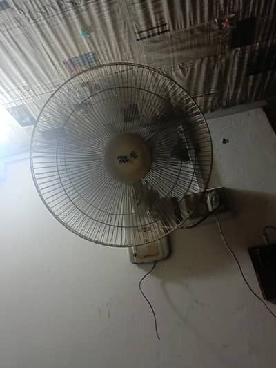 wall fan + stand fan