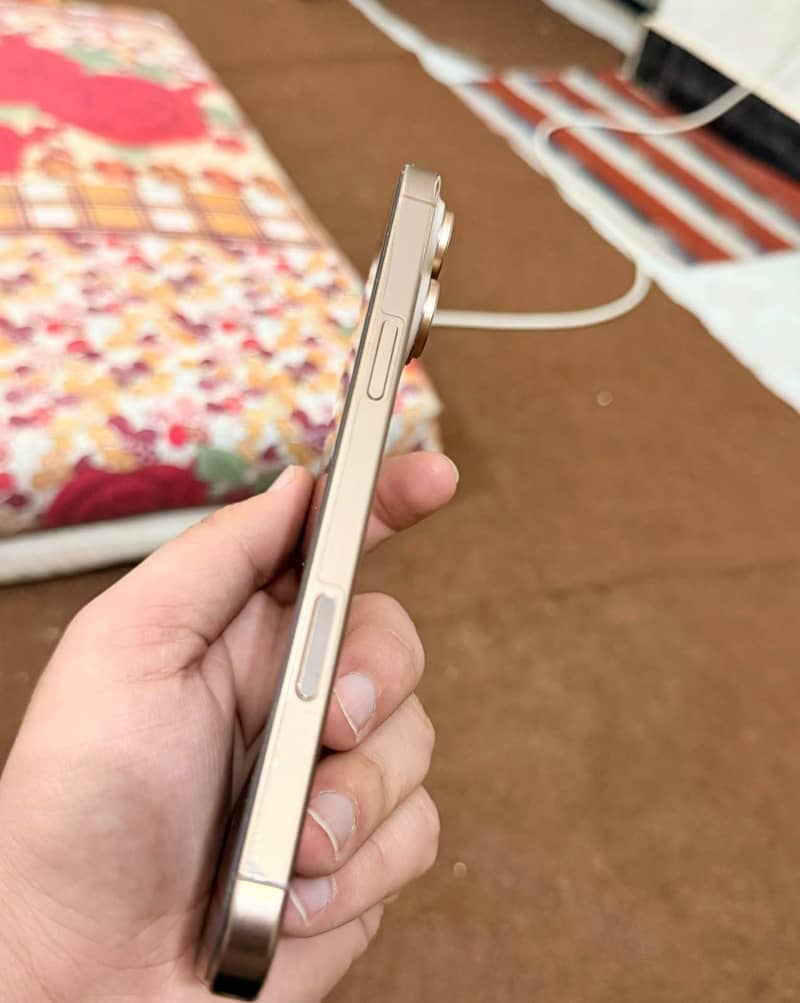 Apple iPhone 16 Pro Max 1