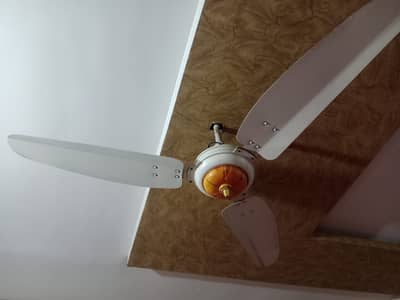 Ceiling Fan 56 inch