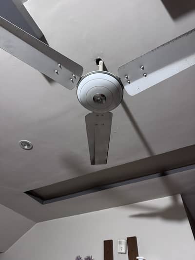 Ceiling Fan 56 inch