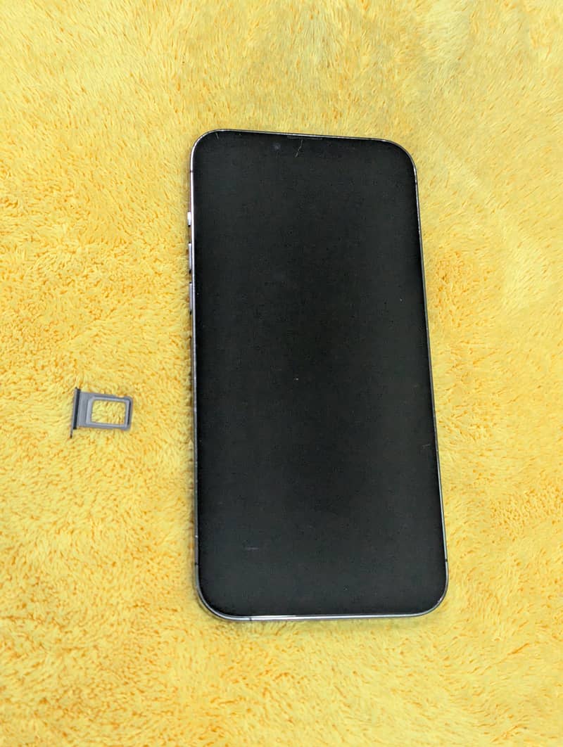 Apple iPhone 13 Pro Max 10