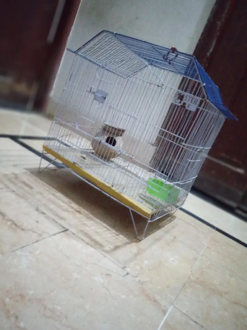 cage for sale urgent sale karna hai price sirf 2500 — photo 2