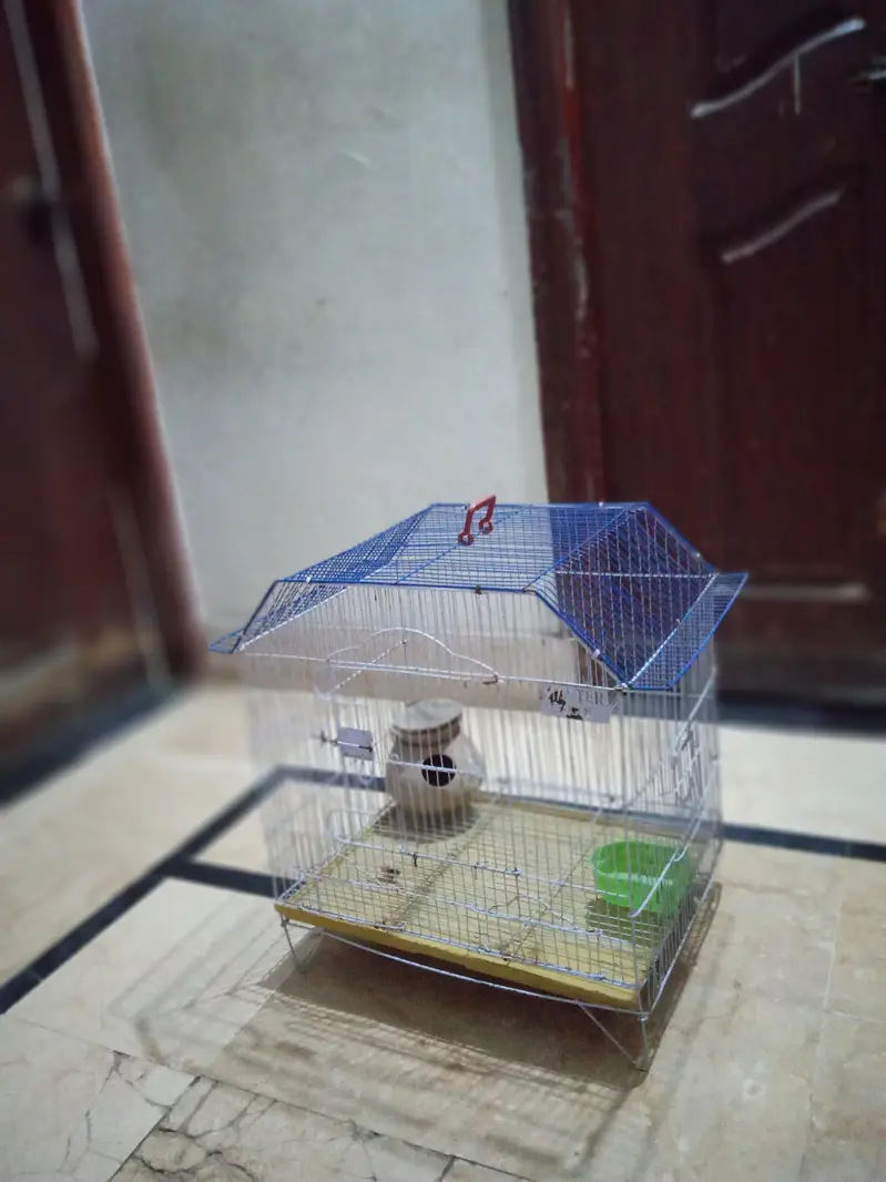 cage for sale urgent sale karna hai price sirf 2500 — photo 3