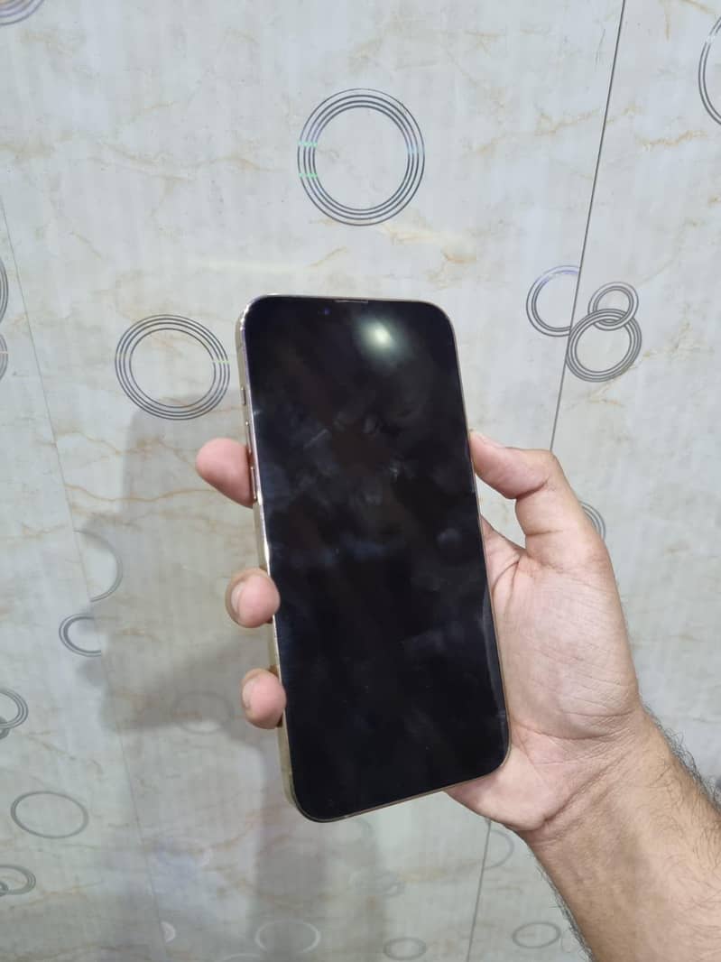 Apple iPhone 13 Pro Max 1
