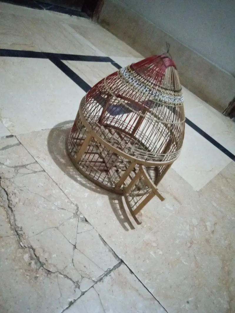cage for sale urgent sale karna hai price sirf 2500 — photo 6