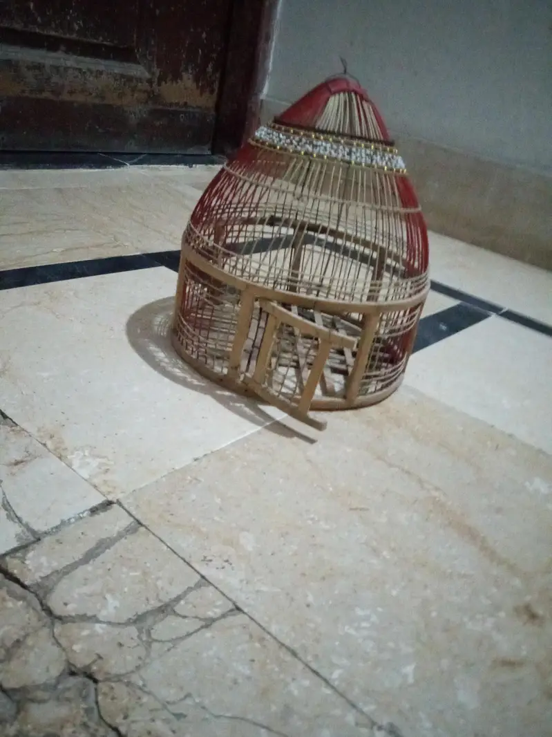 cage for sale urgent sale karna hai price sirf 2500 — photo 7