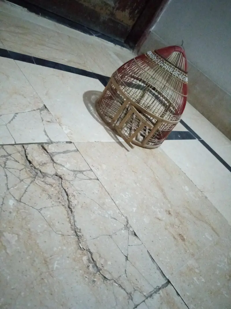 cage for sale urgent sale karna hai price sirf 2500 — photo 8